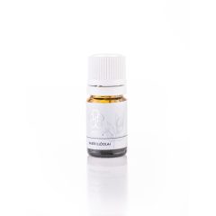 Babér illóolaj – Laurus nobilis