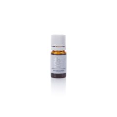 Gyömbér illóolaj – Zingiber officinale